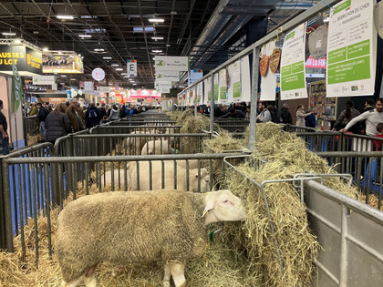 Retour sur le 60ème Salon de l'agriculture