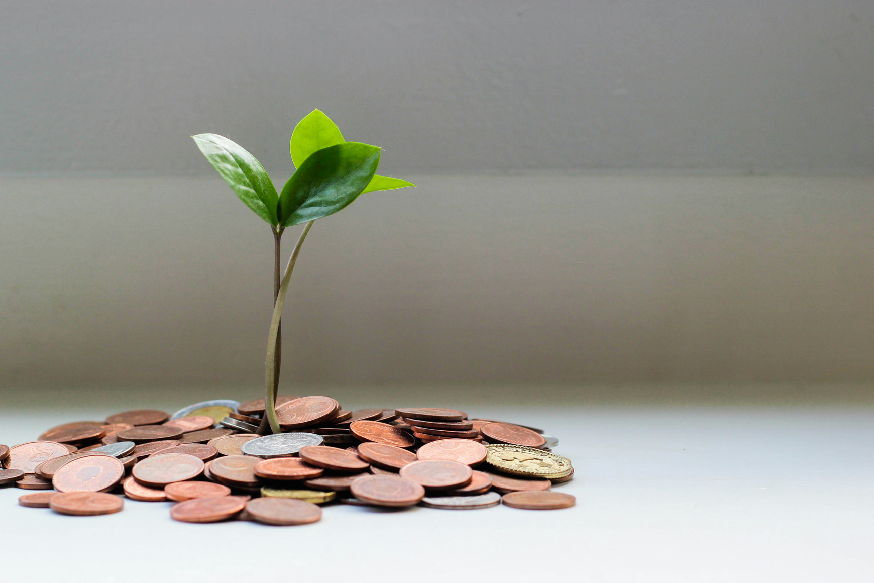 © Photo de micheile henderson sur Unsplash Fiscalité verte et commerce mondial : le dilemme du Green Deal