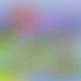 BRTZ Podcast - Les grosses news de Février