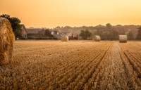 Terres agricoles en danger : la spéculation grignote les campagnes