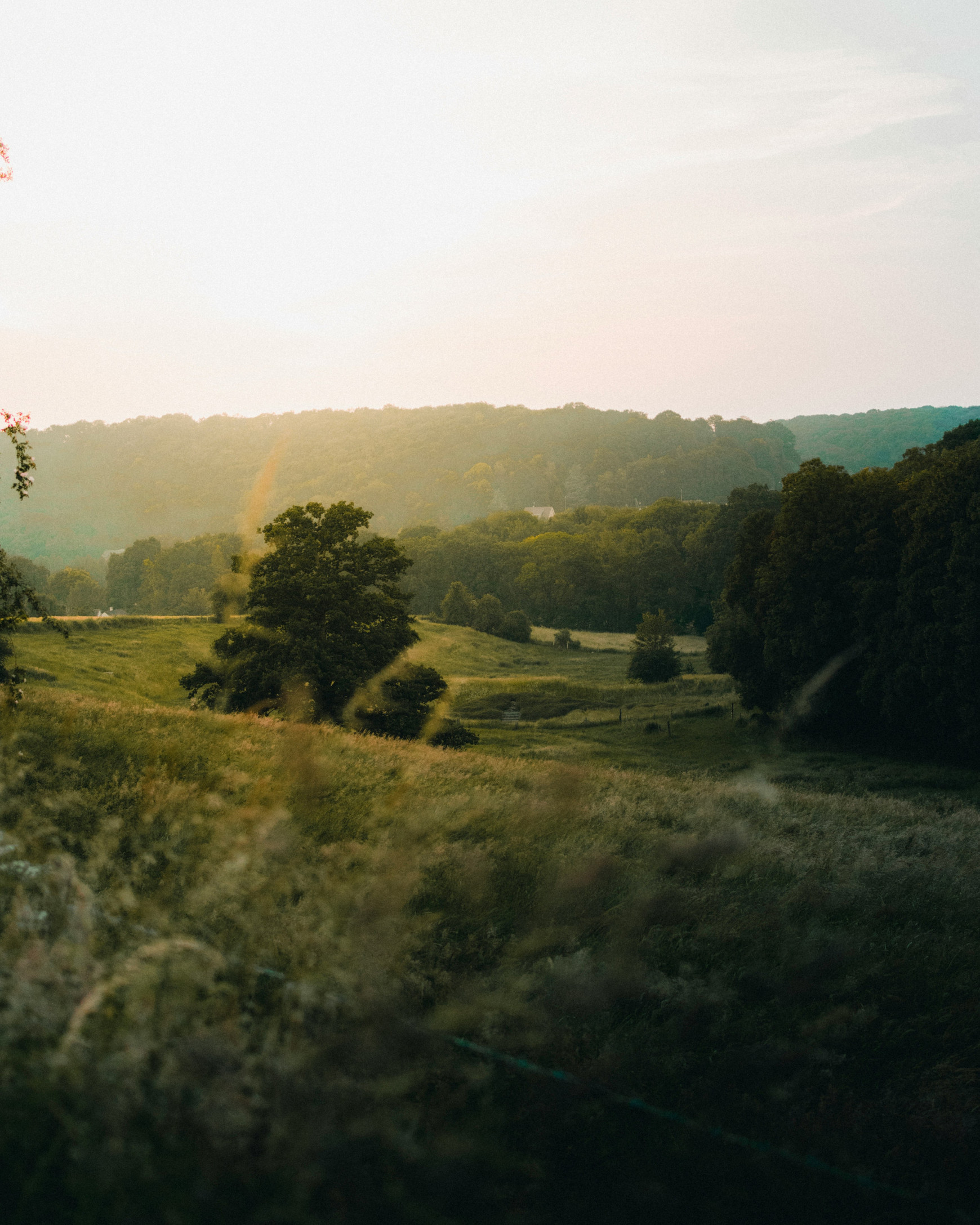 ©Gautier Salles sur Unsplash Le paysage et l’agroécologie