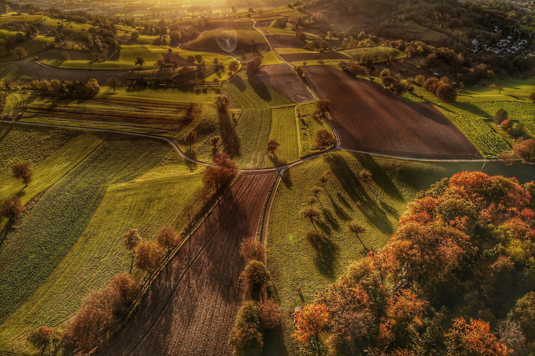 ©Bernd Dittrich sur Unsplash Long terme et agroécologie