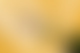 LCSLT : Les champagnes de vignerons