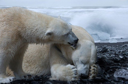 La limite d’un réchauffement de 1,5°C bientôt atteinte ?  - Smart for climate #34