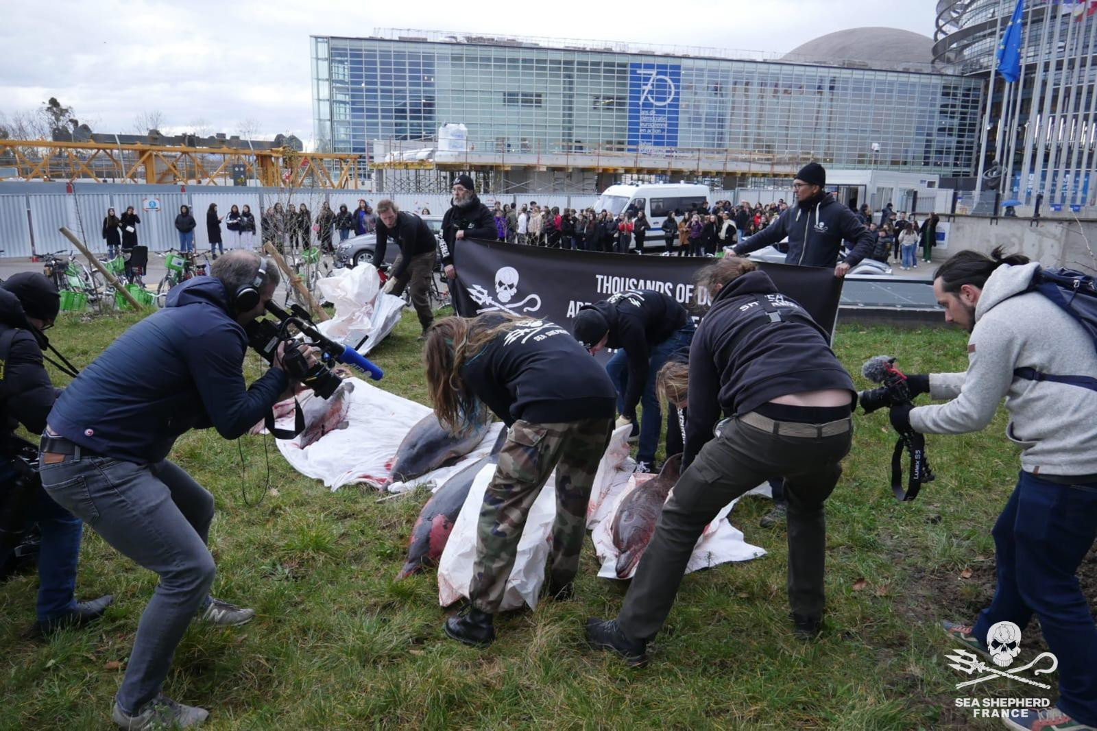 © Sea Shepherd France "On ne fait pas le lien entre la survie de l'océan et la nôtre" selon Lamya Essemlali, fondatrice et présidente de Sea Shepherd France