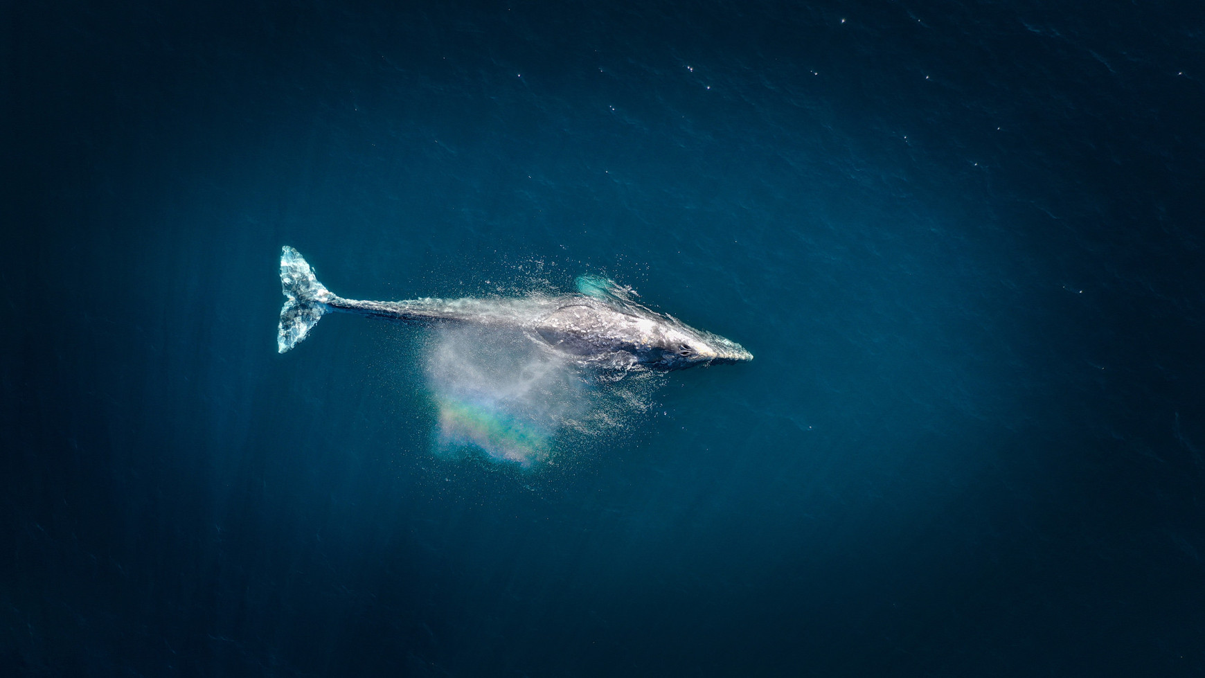 © Wirestock (La troisième édition de la conférence des Nations unies sur l'Océan se déroule du 9 au 13 juin à Nice. Le président français Emmanuel Macron a appelé à un moratoire mondial sur l’exploitation des grands fonds marins.) Aujourd'hui en Europe - 10 juin