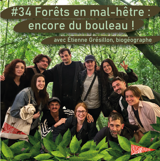 Épisode #34 Forêts en mal-hêtre : encore du bouleau ! de l'émission Happy Hour Scientifique