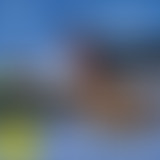 Best of Planisphère : Saison 2 - 2018-2019