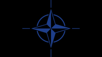 Décryptage : quelles réalités pour l'adhésion de la Finlande et de la Suède à l'OTAN ?