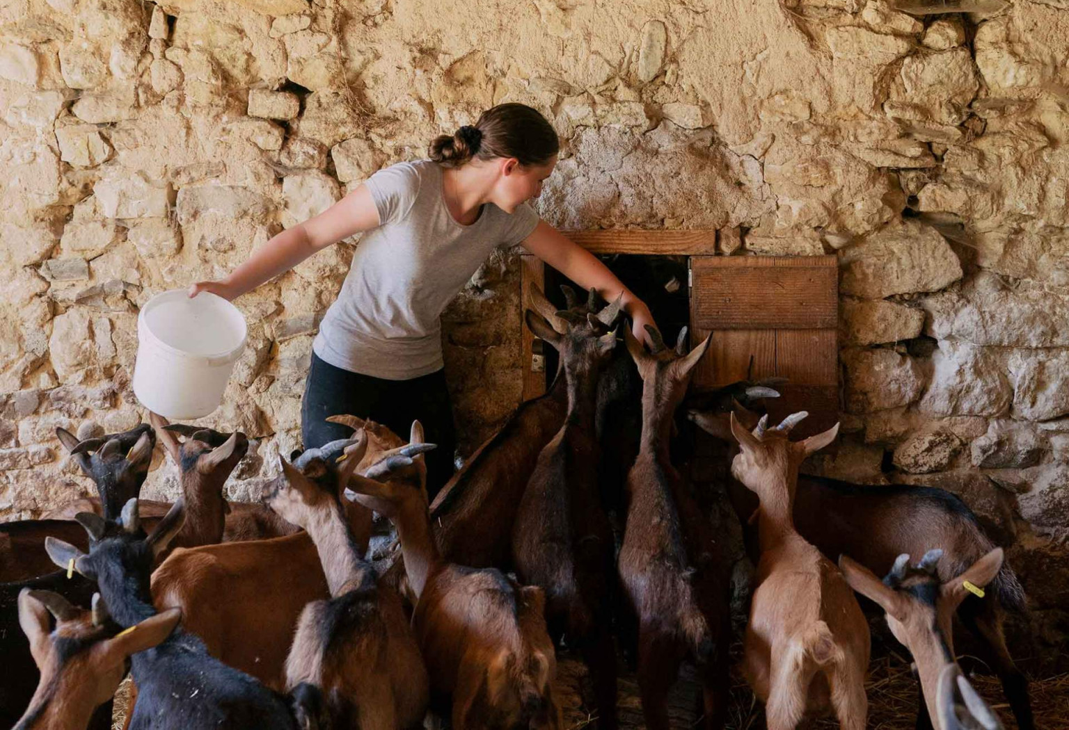 © WWOOF FRANCE Qu'est-ce que le WWOOFing ?