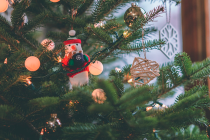 Le recyclage des sapins de Noël