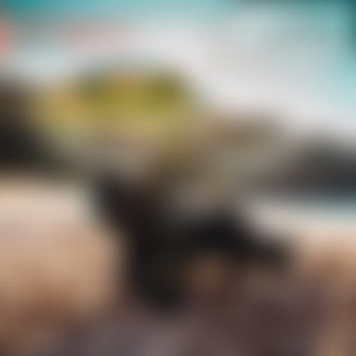 Vespamplitudes : Mode Balek³
