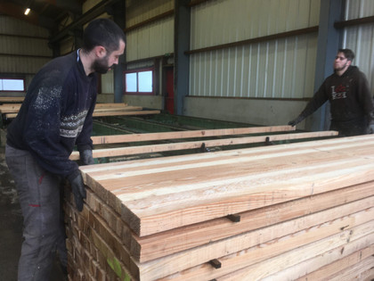 De l'importation vers la valorisation du bois locale - Le reportage