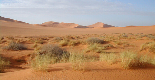 Mappemonde : Sahara