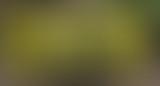 Pièces détachées : Croire en...