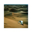 Baxter Dury • Miami