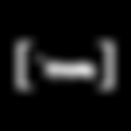 Amplitudes : Ant-Zen