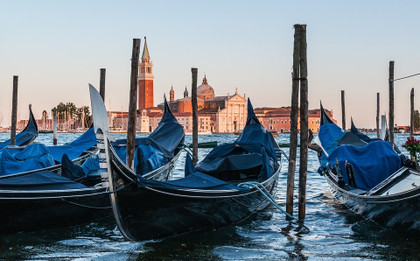 La nature reprend ses droits à Venise