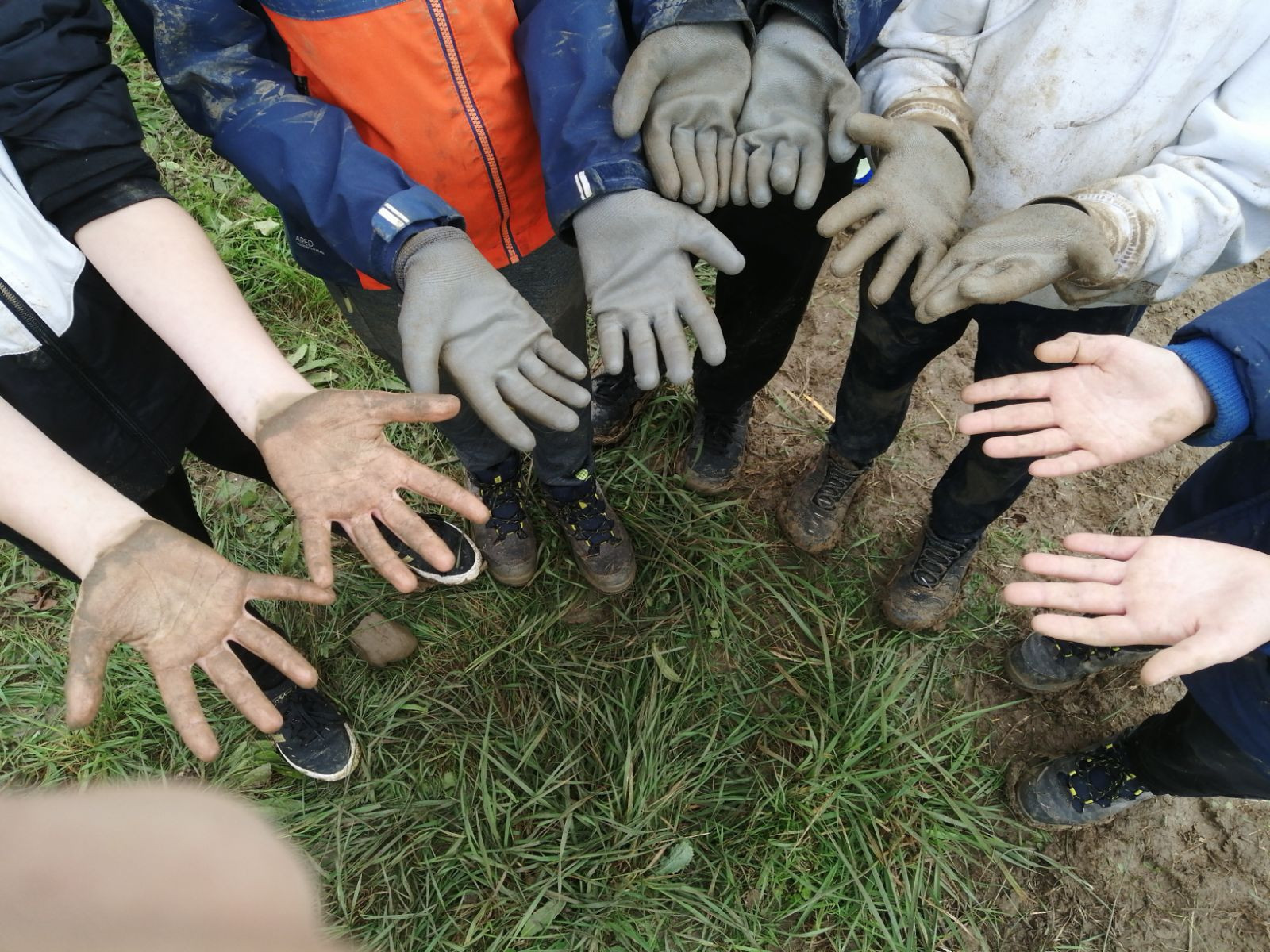 200 arbres plantés à Vérac par des enfants, dans l'exploitation agricole d'Amandine Kourson