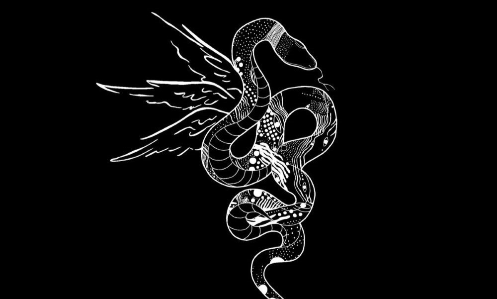 Pochette du single Asa à Cobra - DR Asa Cobra - "Asa à Cobra"