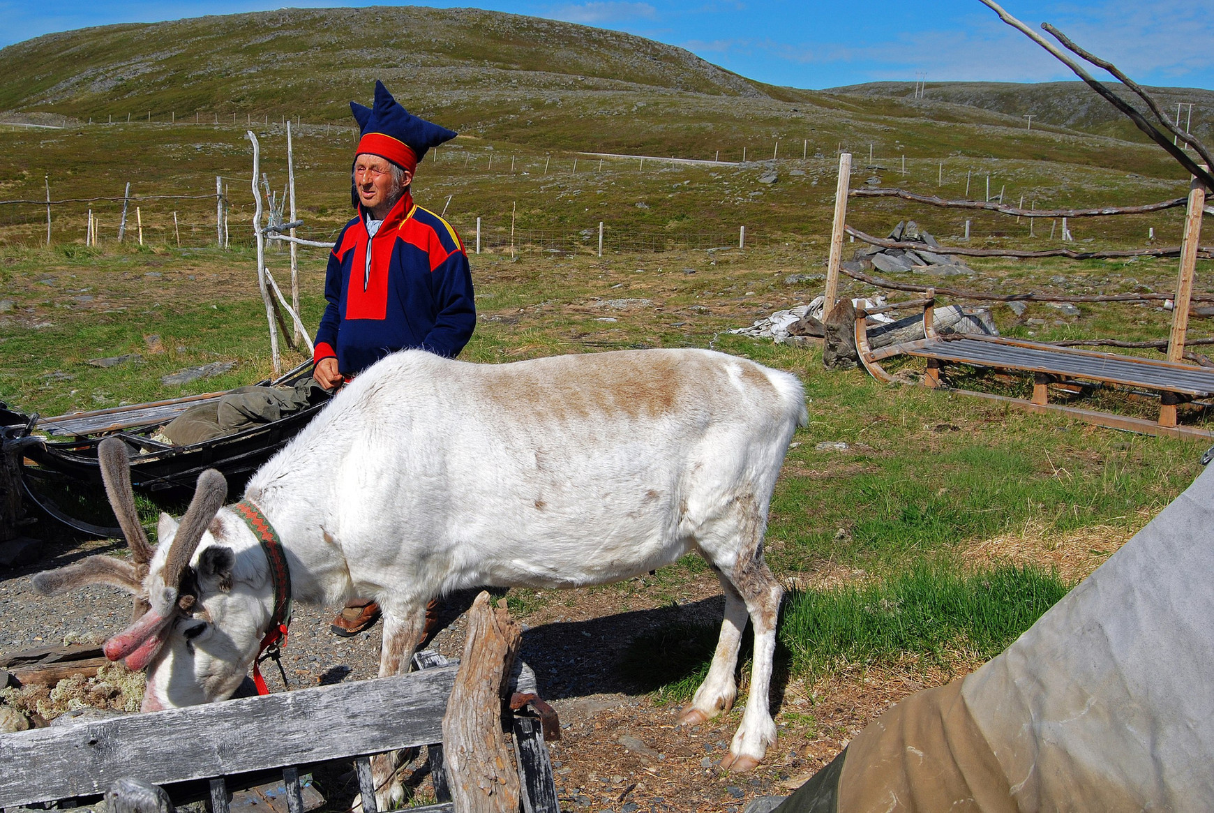 Marie Roué - Les Samis, dernier peuple autochtone d'Europe