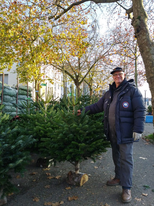 Sapin de Noël : naturel ou synthétique?