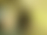 [Format court été] Les mystérieuses cavernes du Ga...