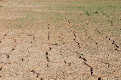 Les incertitudes climatiques et l’agroécologie -