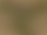 Anthropologie des gamers : à travers le masque ava...