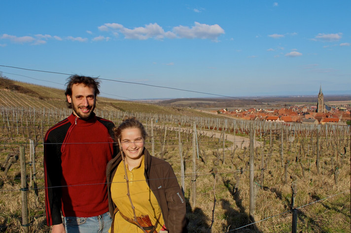 Épisode Reportages alsaciens : portraits de vignerons de l'émission Les coudes sur la table