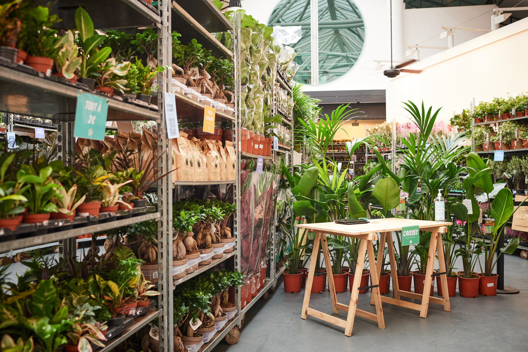 © Plantes pour tous, Grande Vente de Plantes, Paris 11e Plantes pour tous : verdir le marché horticole européen ?