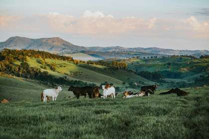 Le sol et l'agroécologie face aux phénomènes climatiques extrêmes