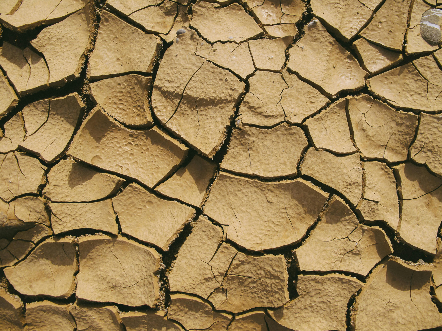 © Francesco Ungaro L'impact des constructions sur l'environnement