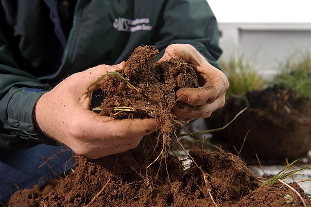© Wikimédia Commons - USDA NRCS Texas Du Cadmium dans les sols