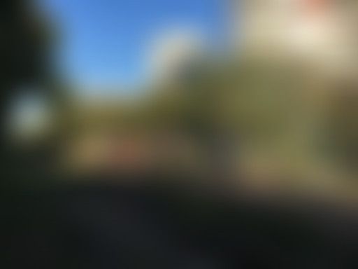 ESPESP // La petite ceinture (15e)