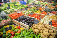 Développer des green skills dans le secteur alimentaire