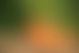 À la Recherche d'une Agriculture Logique