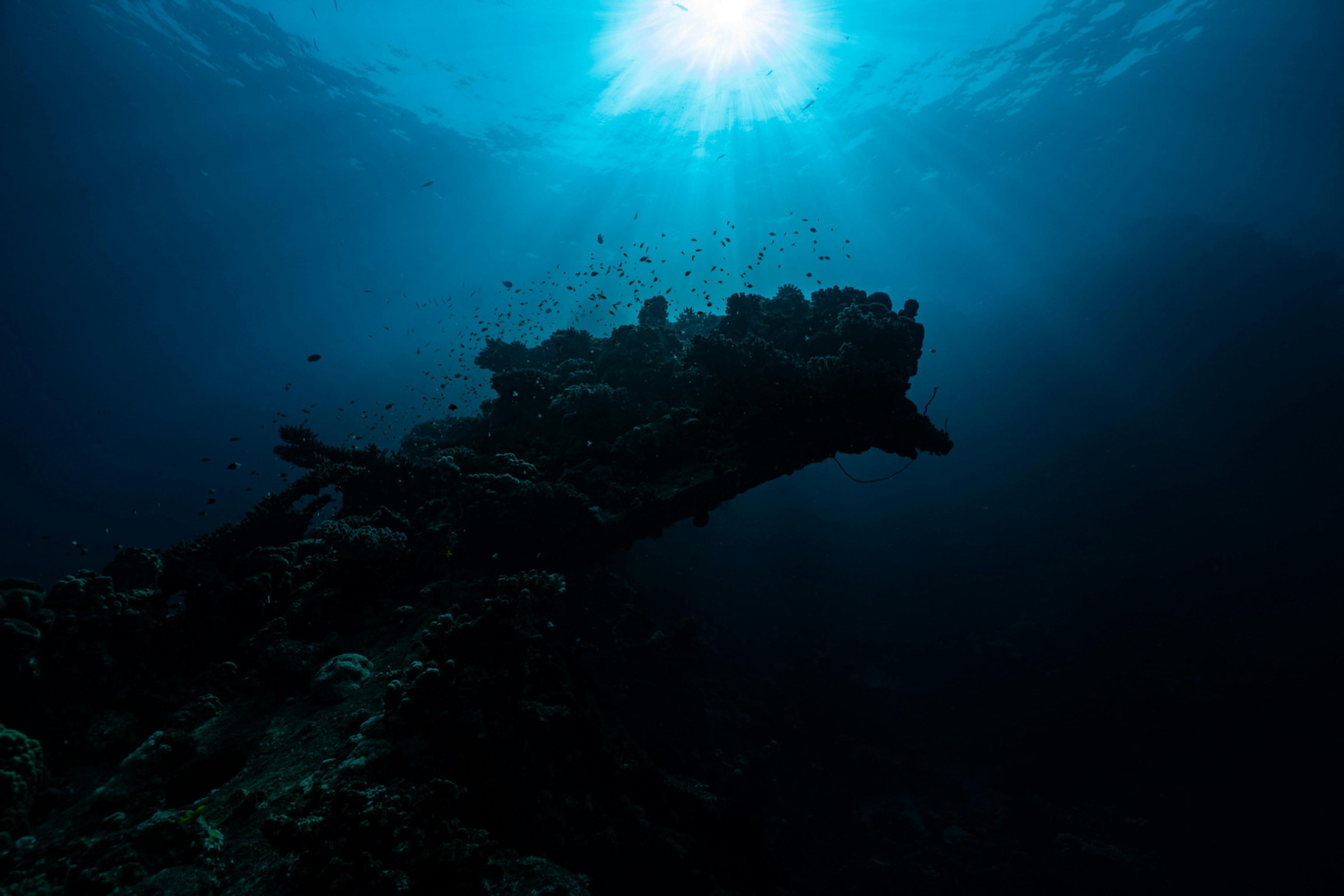 Photo de Saad Alaiyadhi - Pexels Le futur de nos côtes (2/2)