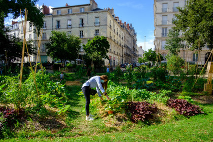 "Nantes, paysages nourriciers", le retour des potagers solidaires