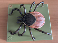 Lyme, l'exil médical ?