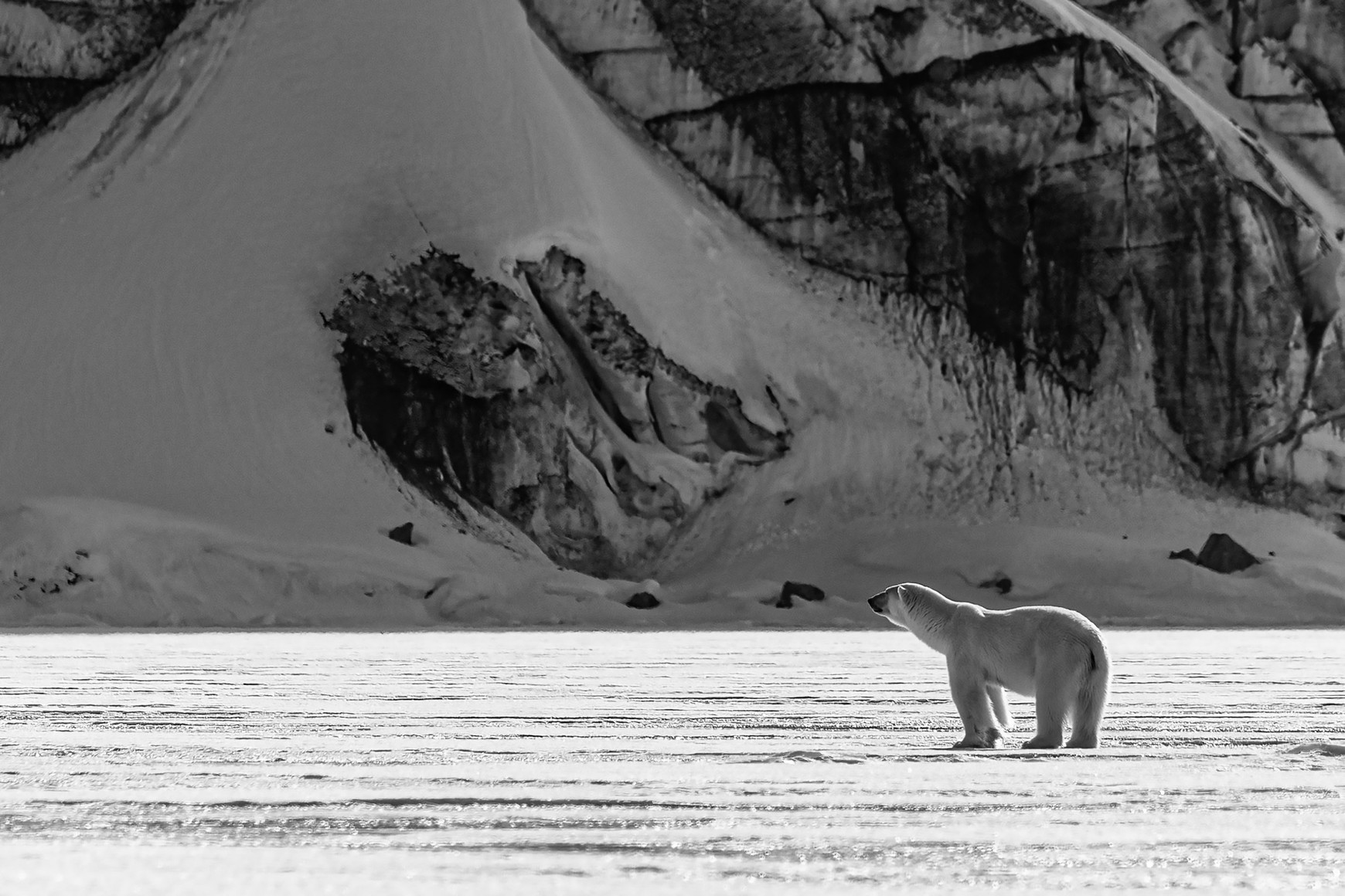 © François Daguisé. Nostalgie des glaces. Portrait d'artiste : François Daguisé