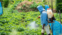Pesticides : l’Europe peut-elle concilier santé, environnement et agriculture ?
