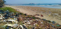 Agir contre la pollution plastique - Fréquence Europe