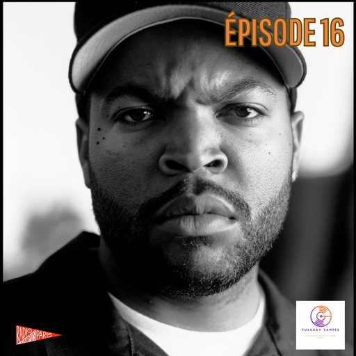 Tuesday Sample 16 (Ice Cube-Brick)