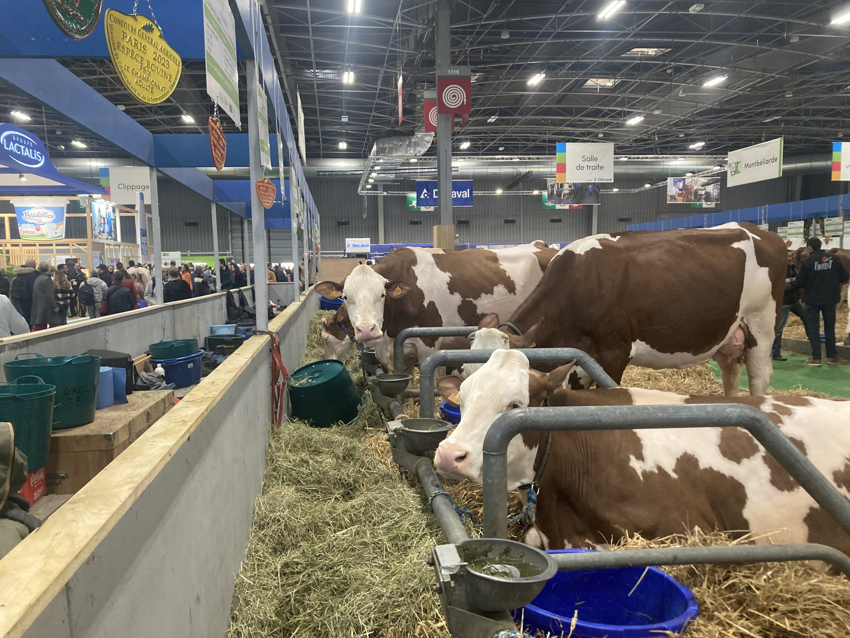 Plus de 6 000 élèves de l’enseignement agricole partent chaque année en mobilité de stage avec une bourse et un accompagnement Erasmus+.© Lou Surrans L'enseignement agricole bénéficie aussi d'Erasmus+