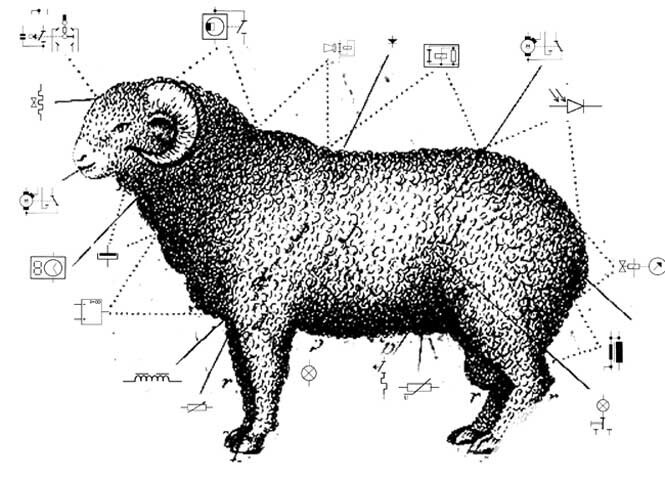 Épisode Dessine moi un mouton - le documentaire de l'émission Dessine moi un mouton