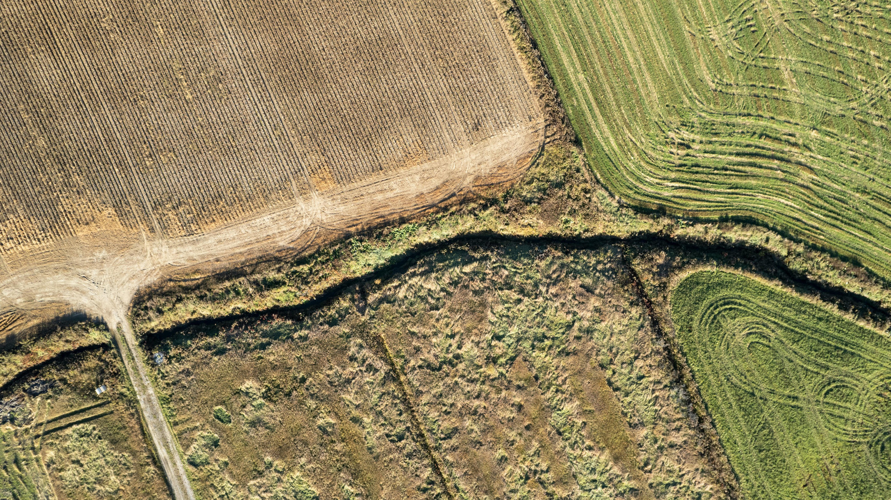 Photo de Felix-Antoine Coutu - Pexels Le farm bill, loi d’orientation agricole américaine et l’agroécologie