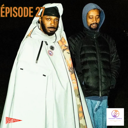 Tuesday Sample 27 (JpegMafia x Danny Brown- Kelis)