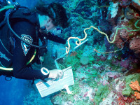 Les Métiers de la Mer (2/2)