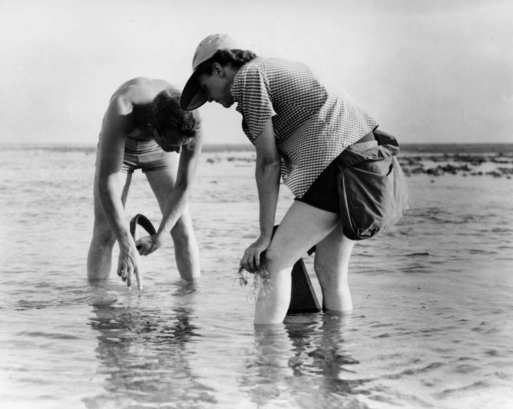 Rachel Carson et Bob Hines Les figures de l'agroécologie